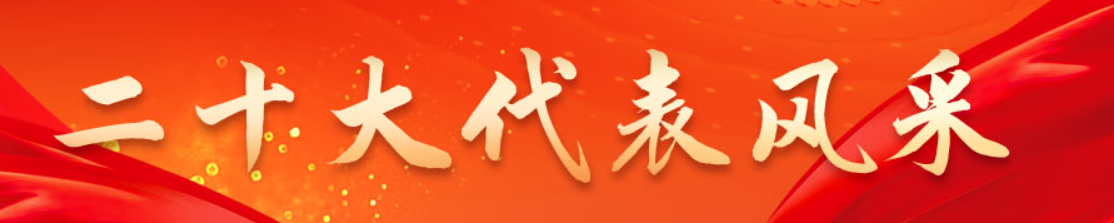 二十大代表風(fēng)采